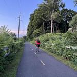 Manhan Rail Trail
