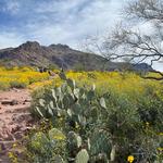 Hike the Hieroglyphic Trail