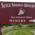 Silver Springs