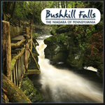 Bushkill Falls