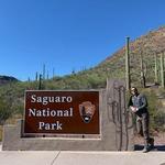 Saguaro National Park