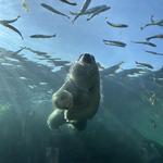 Columbus Zoo and Aquarium