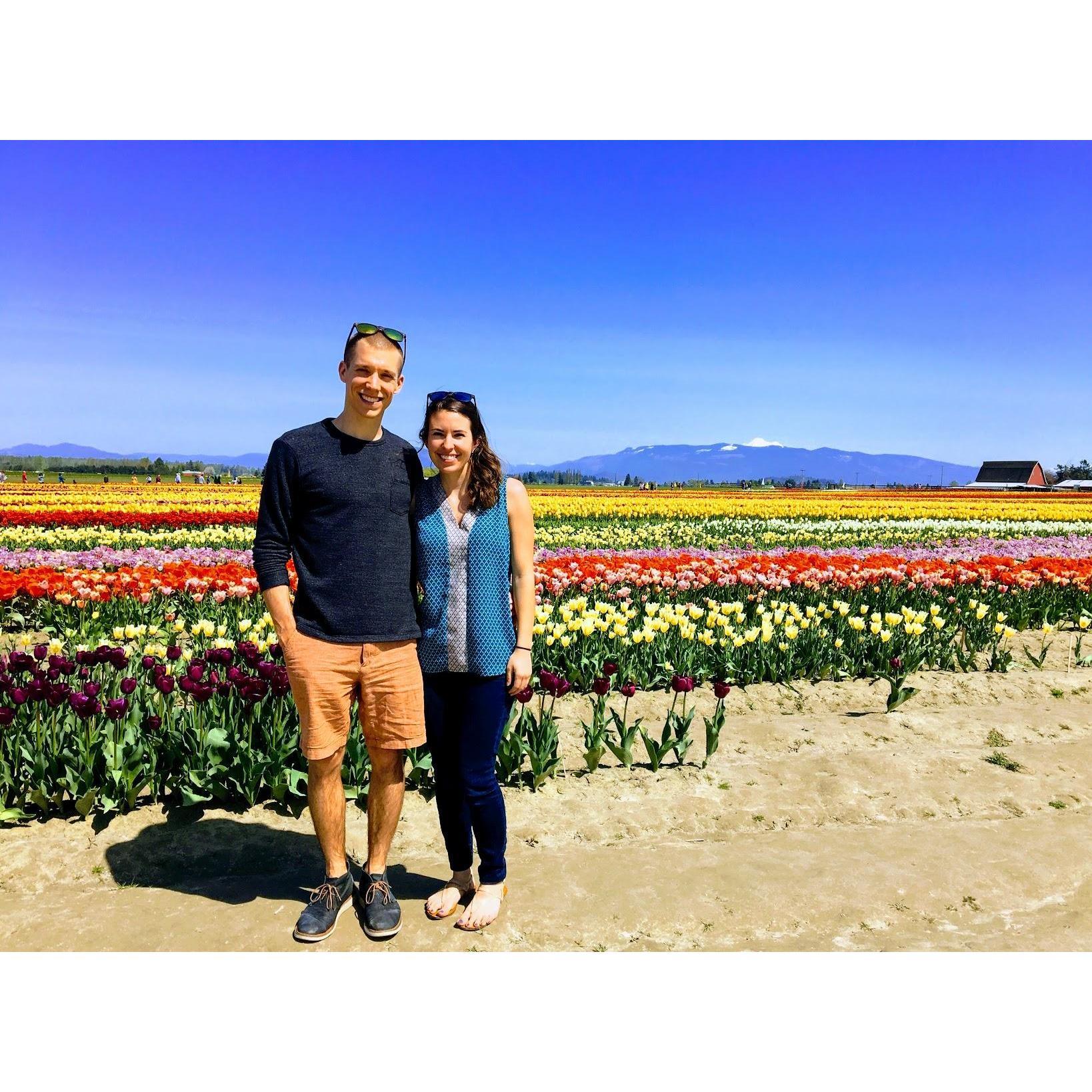 Tulip Festival in Washington