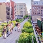 The High Line
