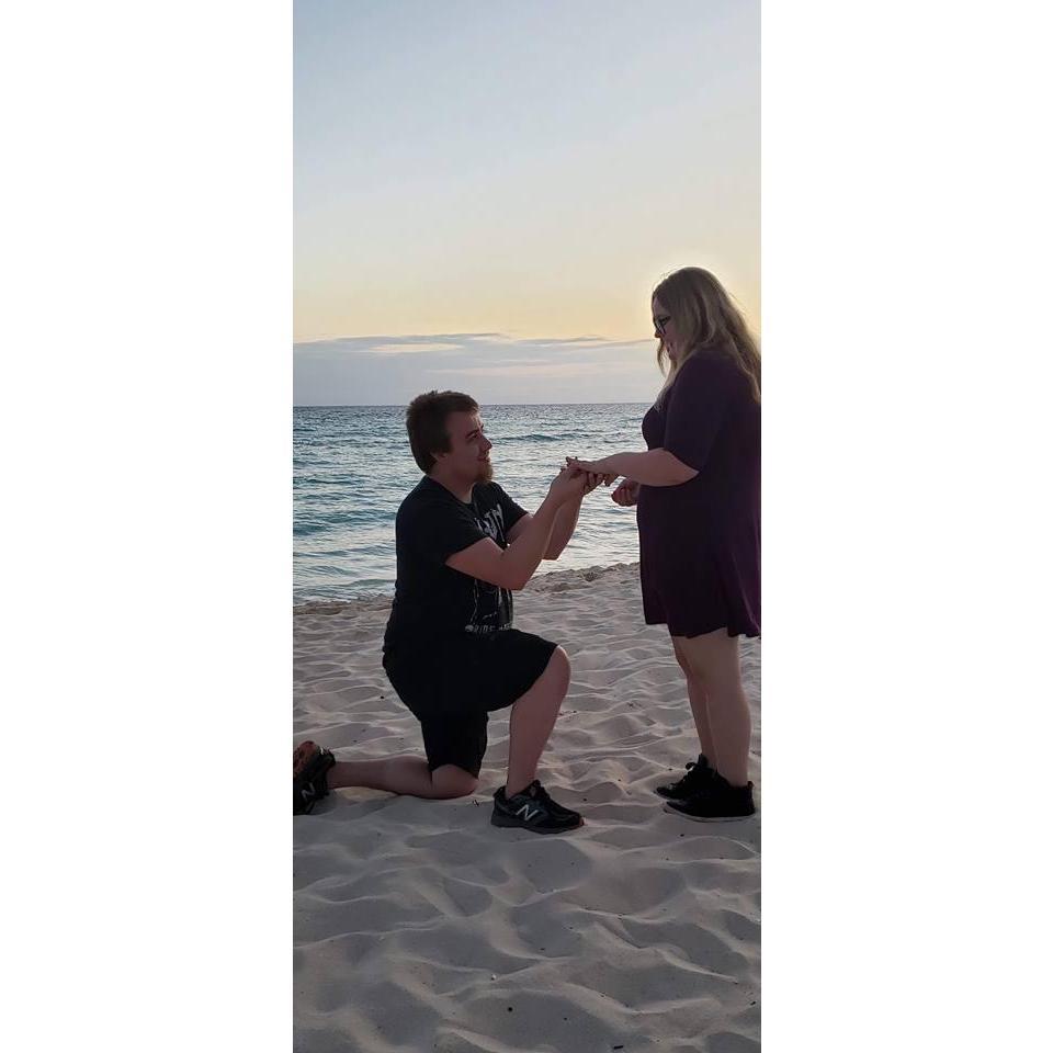 Staged proposal because we are to much of a mess to get a pic of the first one