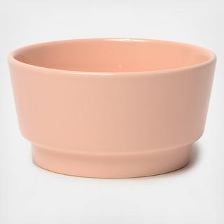 Gloss Dog Bowl