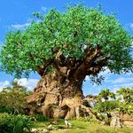 Disney's Animal Kingdom Theme Park