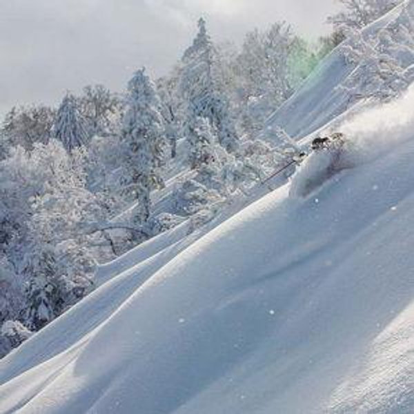 Japan Ski Honeymoon