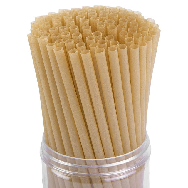 HANSGO Sugarcane Straws, 200PCS Drink Straws Disposable for Hot Cold Drinks, Coffee, Cocktail, Juice Home Favor, The Beach Party, Natural Brown