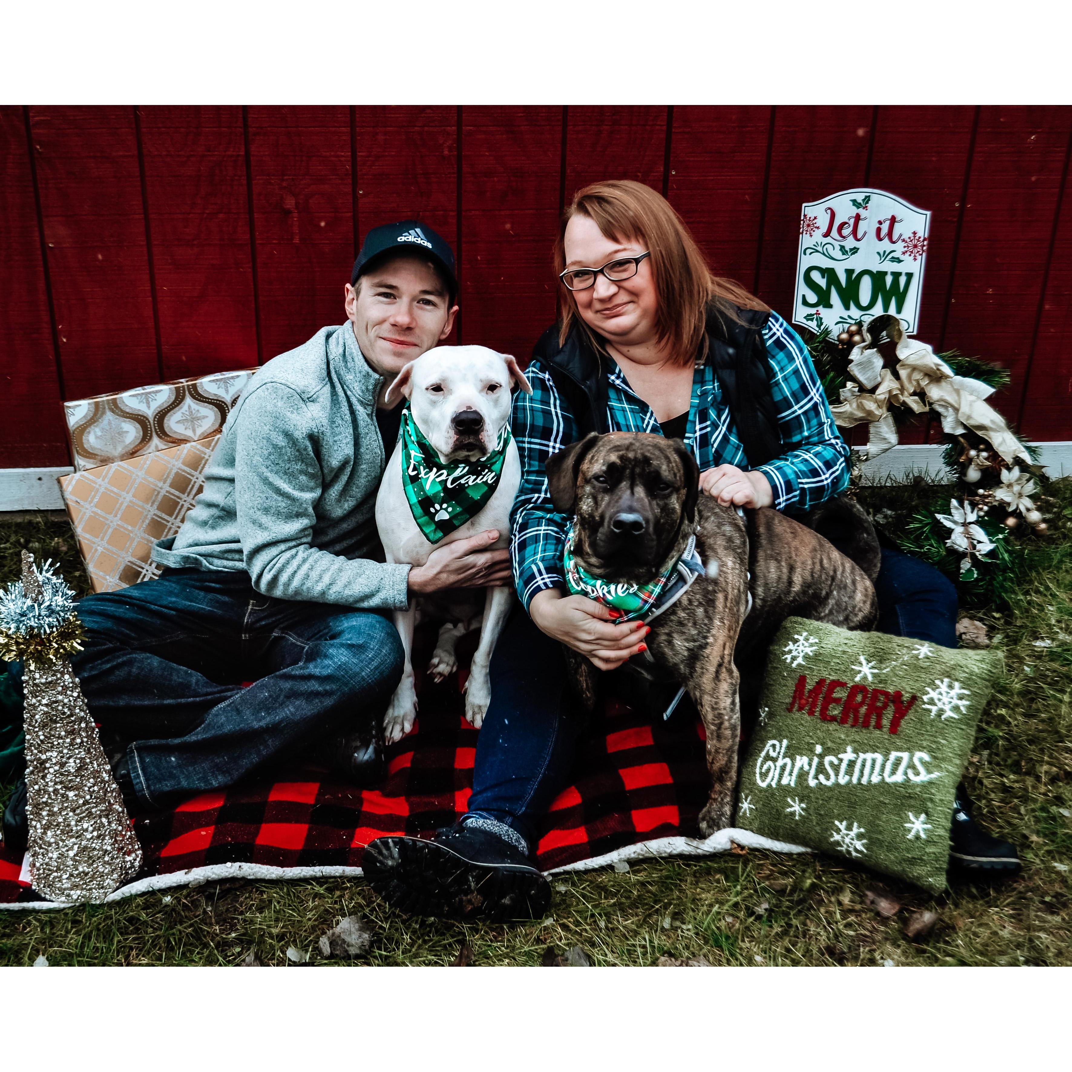 Christmas 2021 photos November 2021