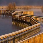 Nisqually Estuary Boardwalk Trail