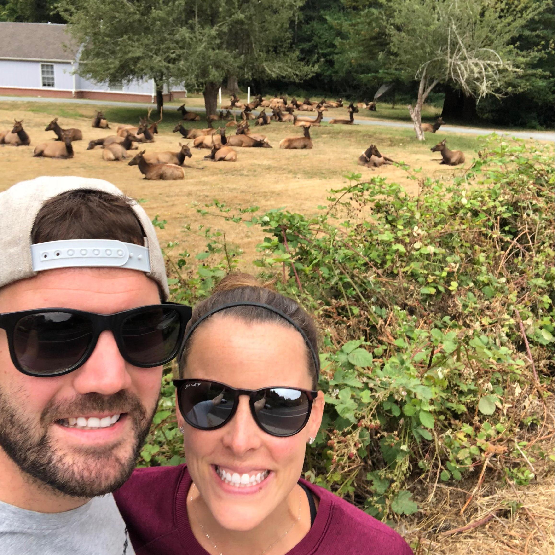 Redwoods National Forest