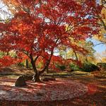 Maymont