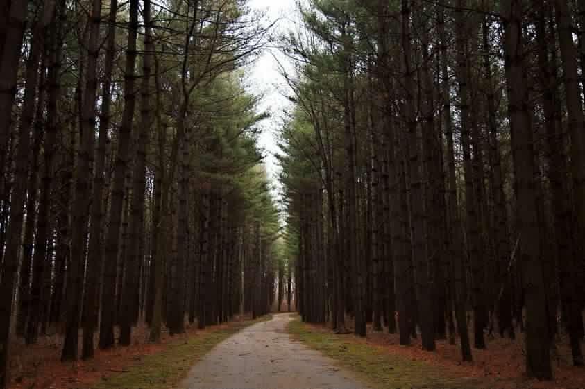 The Wedding Website of Jennifer Grant and Daniel Reid