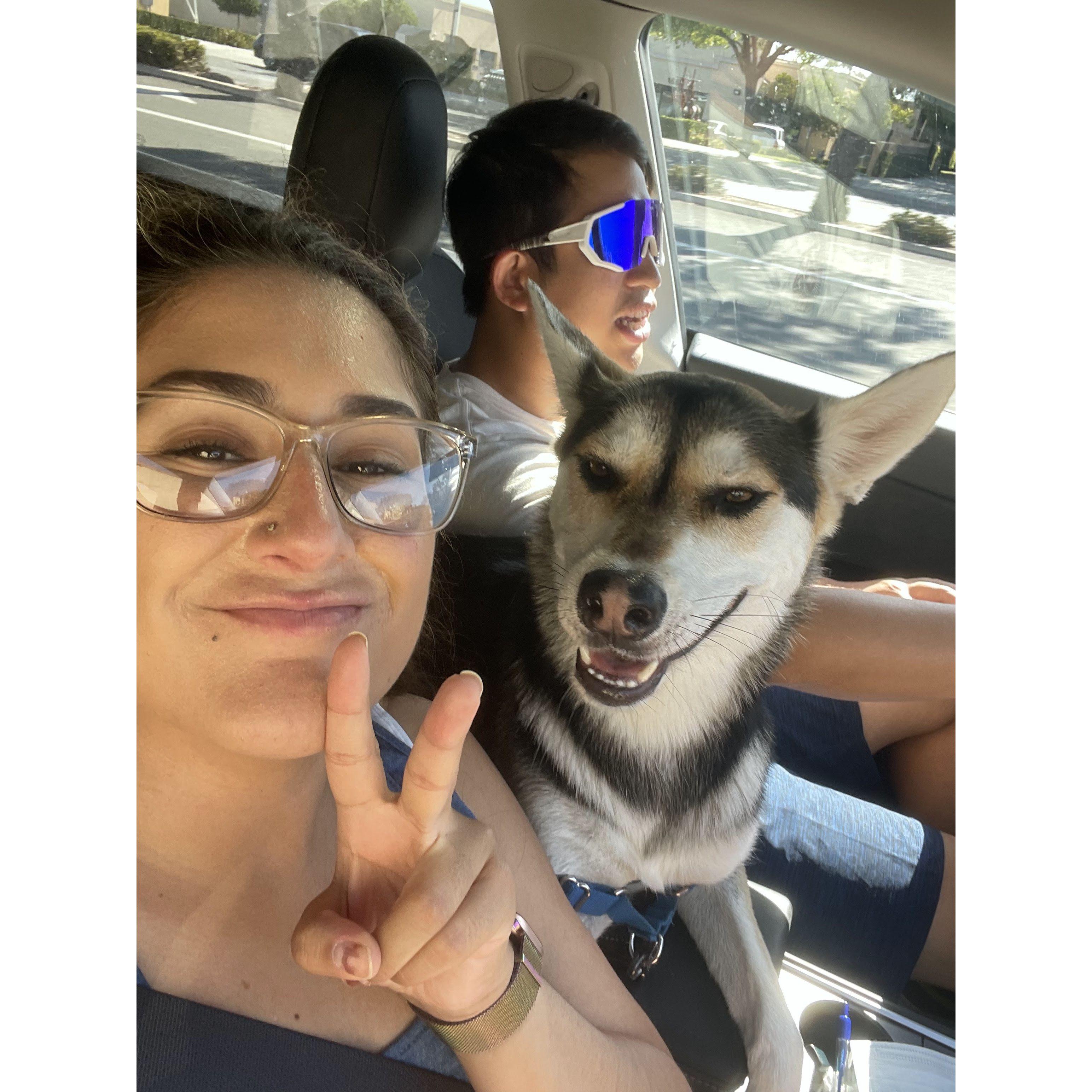 Road trip from Ventura to Bay Area