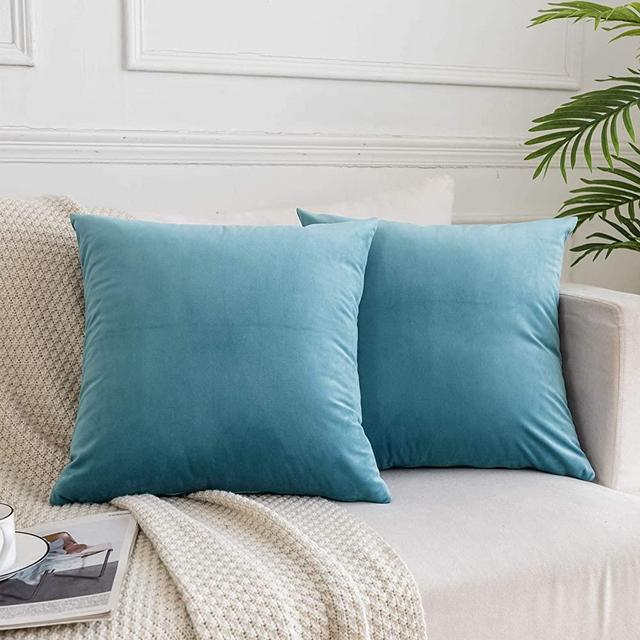 JUSPURBET Decorative Velvet Throw Pillows Covers for Couch Bed Sofa,Pack of 2 Luxury Solid Soft Cushion Cases,26x26 Inches,Light Blue