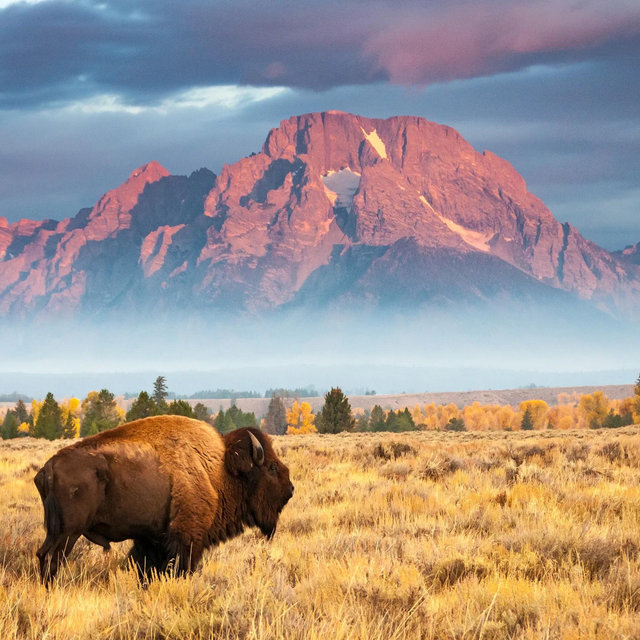 National Park Pass