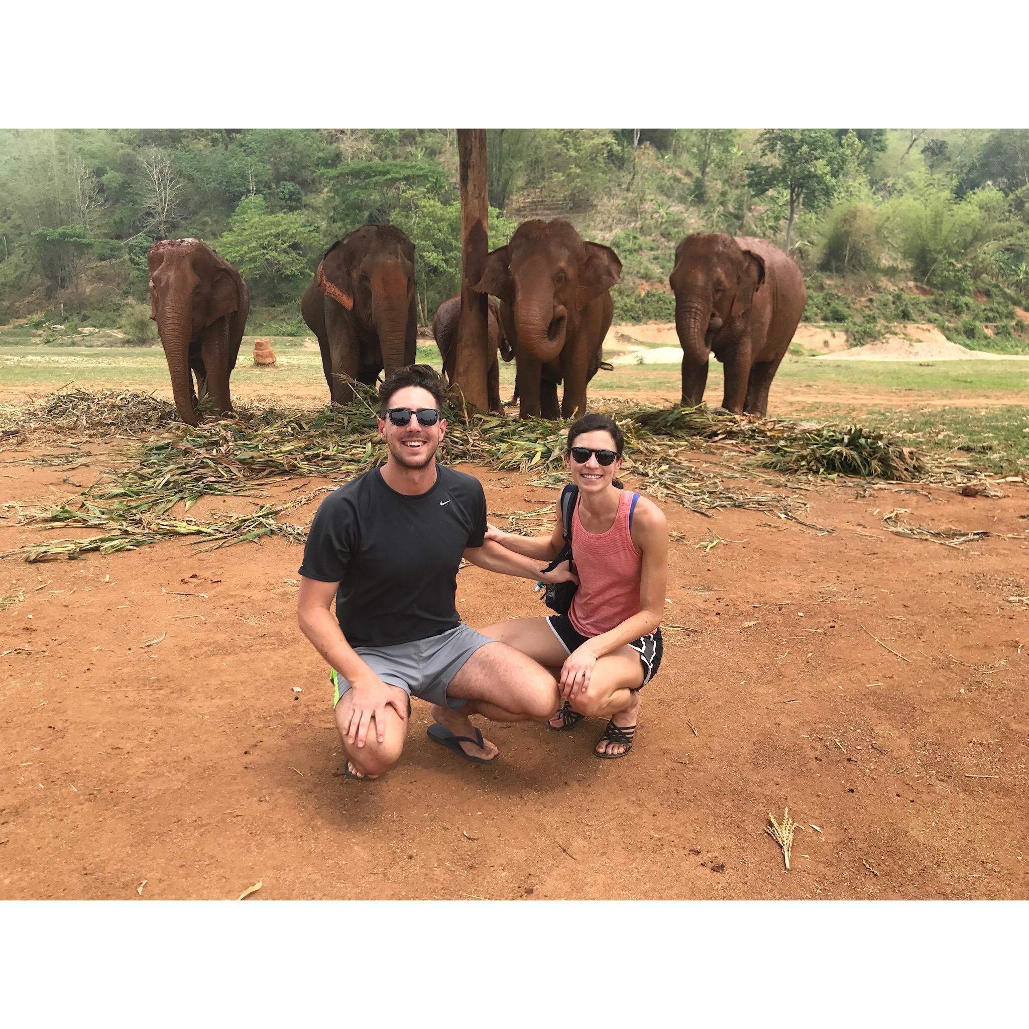 Henry's first visit to Elephant Nature Park | Chiang Mai, Thailand
