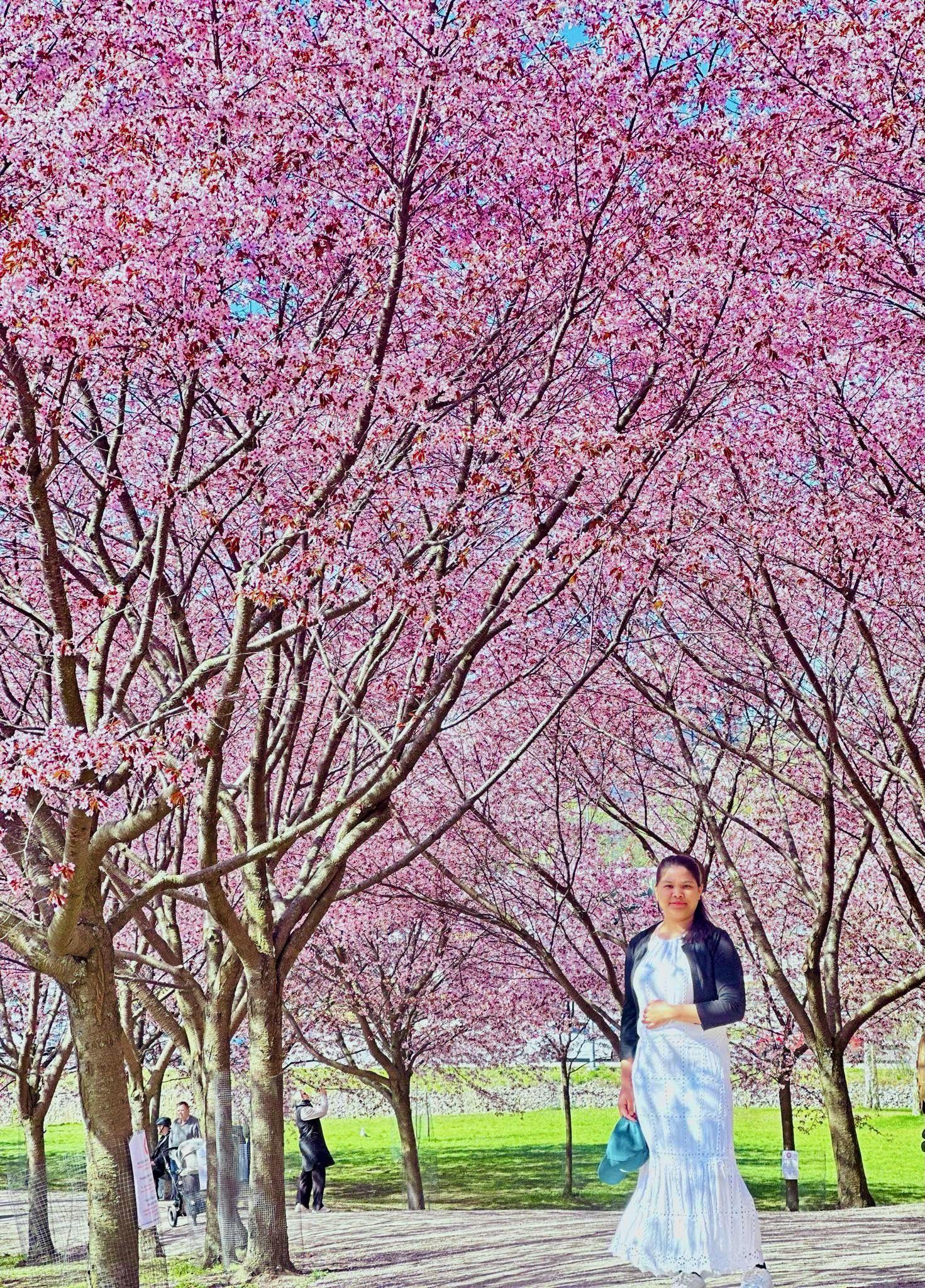 The Wedding Website of Neal Jones and Maricel Luzon