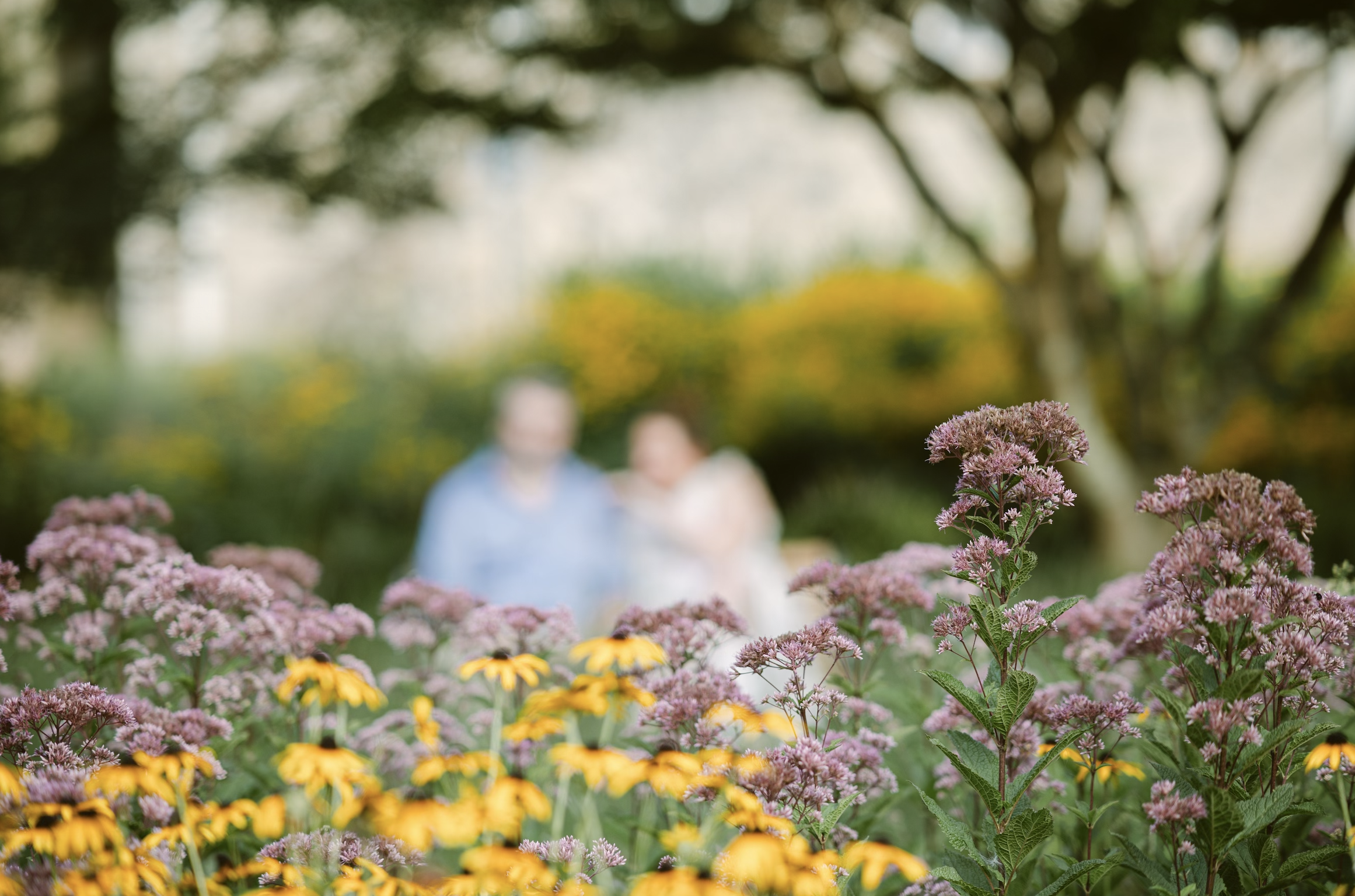 The Wedding Website of Kathryn Butts and Michael Guanci