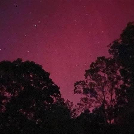 They even saw the Northern Lights from their little southern home