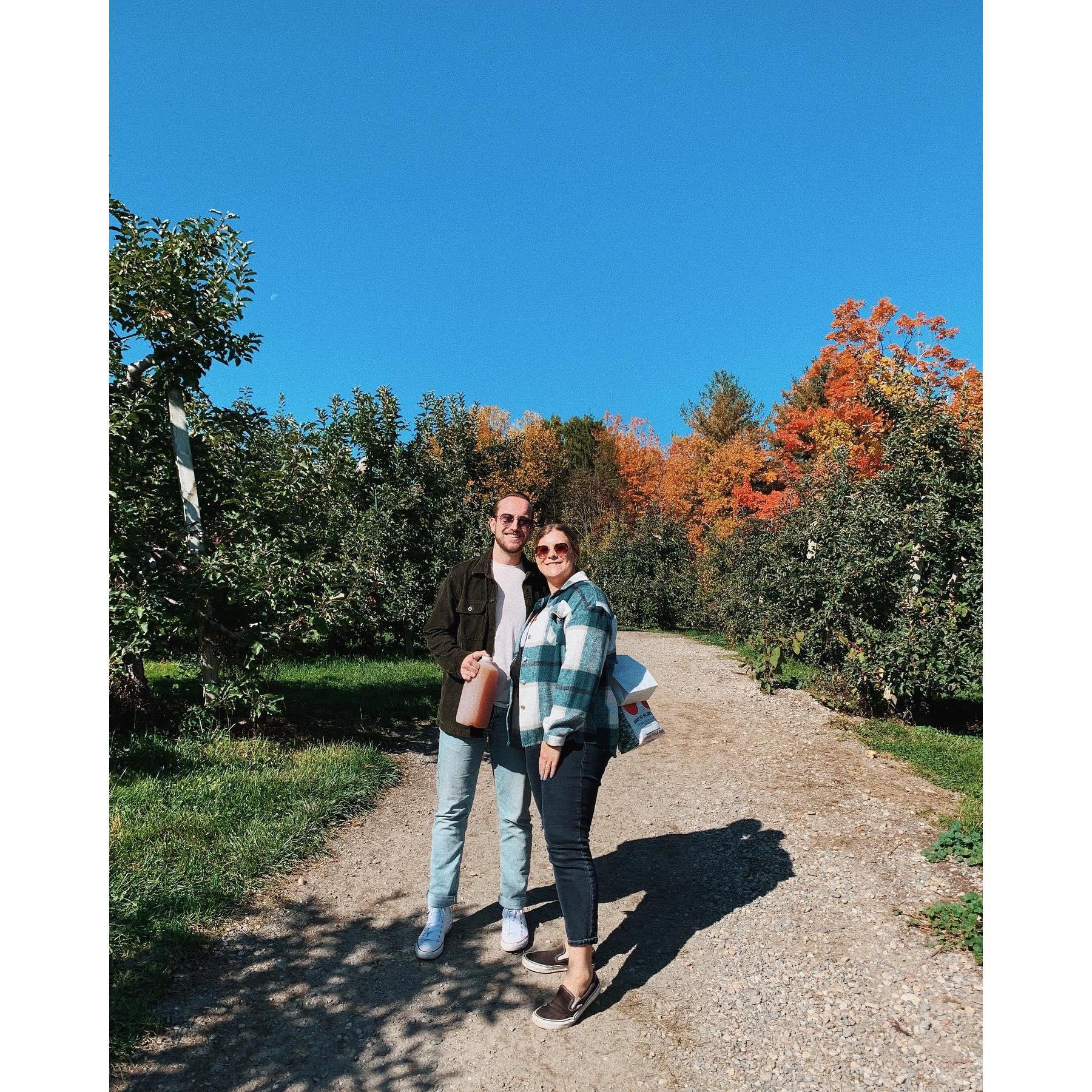 Apple Picking