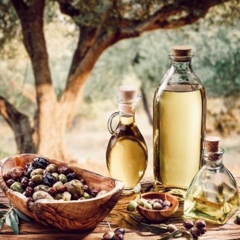 Olive & Olive Oil Tasting in Puglia