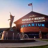 Wonders Of Wildlife National Museum & Aquarium