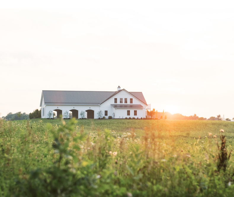 The Wedding Website of Hallie Baugher and Tali Gorica