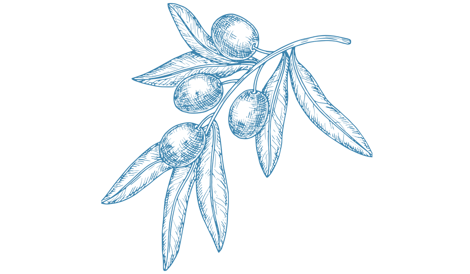 Footer image