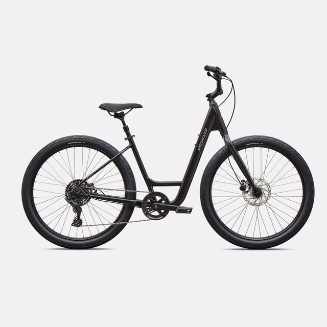 Specialized | Roll 2.0 Low Entry Bike