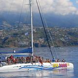 Seaborn Catamaran Tour