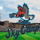 Beloit Sky Carp Baseball Club | High-A Affiliate of the Miami Marlins