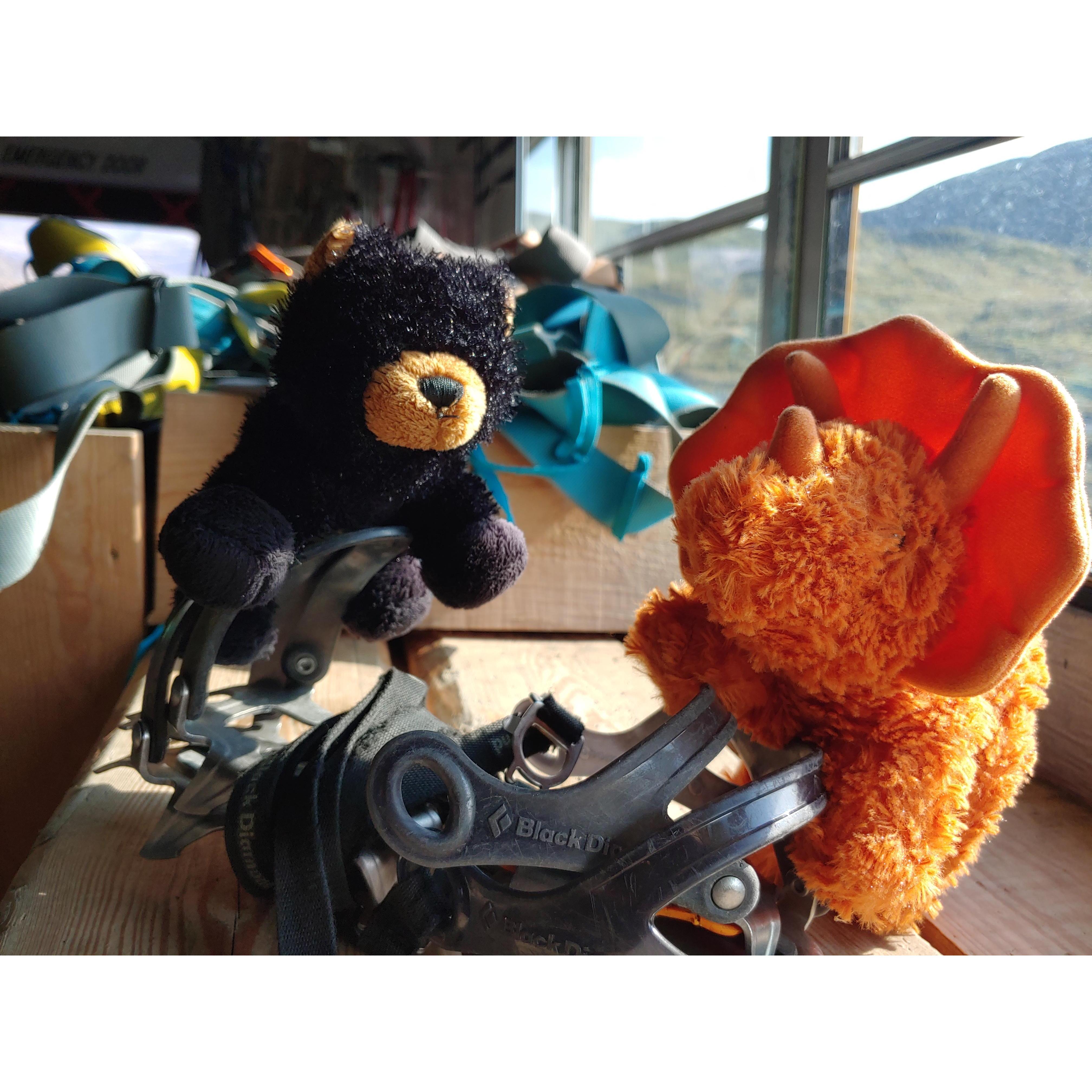 We have a love of stuffed animals and they come on all our adventures.