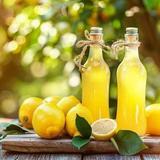Lemon Tour Experience
