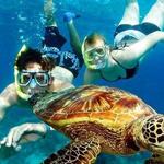 Tres Palmas Marine Reserve