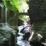 Hiking in & around Gorges Ithaca