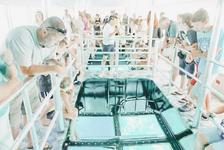Stay dry & go “snorkeling” on the Key Largo Princess Glass Bottom Boat 🐠🐡