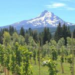 Hood River Fruit Loop