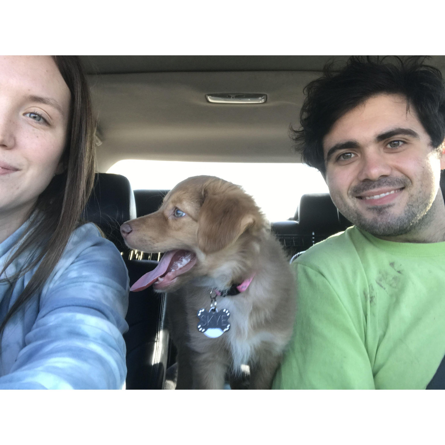 March 2019 when we started our little family and got Skye.