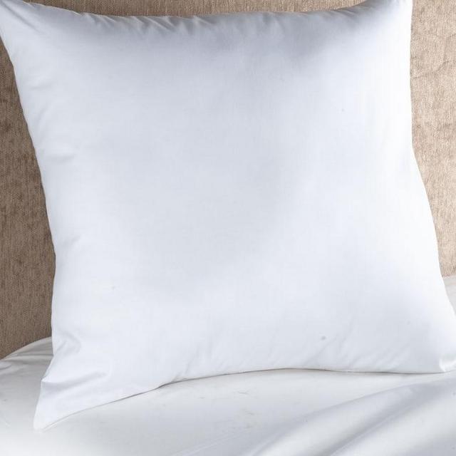 Down Euro Pillow Insert
