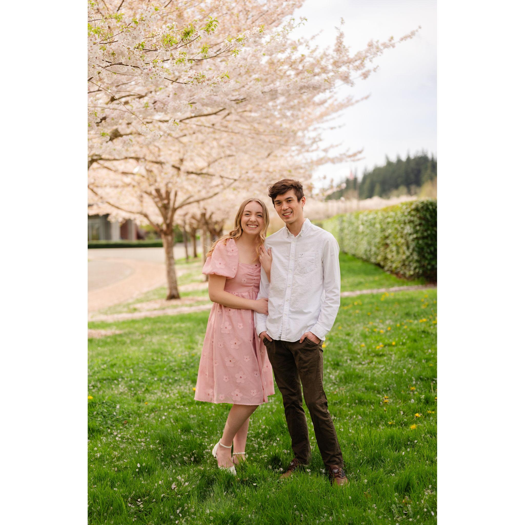 Cherry Blossom photos at Western Washington University, taken by one of our wedding photographers & bestie Caylie Mash Photography