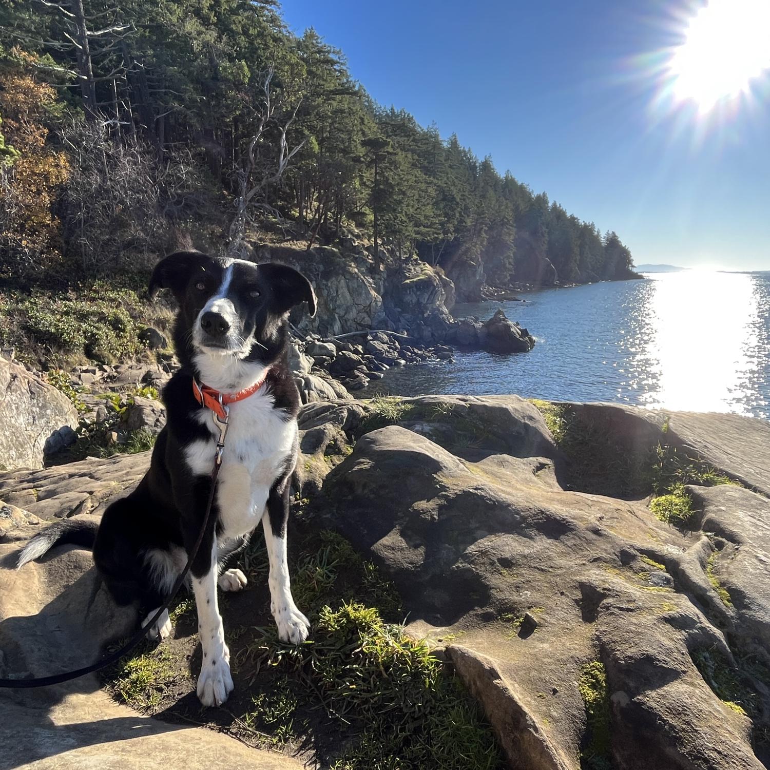 Annie at Larrabee State Park