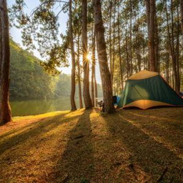 New Camping Gear