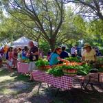 Ybor City Saturday Market