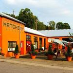 White Duck Taco Shop