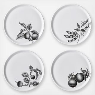 Olive Market Accent Plate, Set of 4