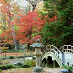 Maymont