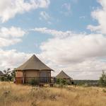 Learn more about our venue - Walden Retreats!