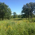 Quarry Hill Nature Center